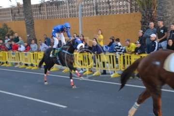 Carreras de caballo de San Gregorio Taumaturgo 2018